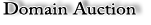 Domain Auction